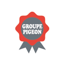 Groupe Pigeon