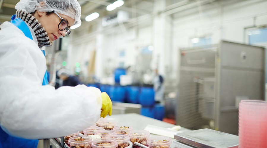 Chaîne de préparation de produits frais de la mer