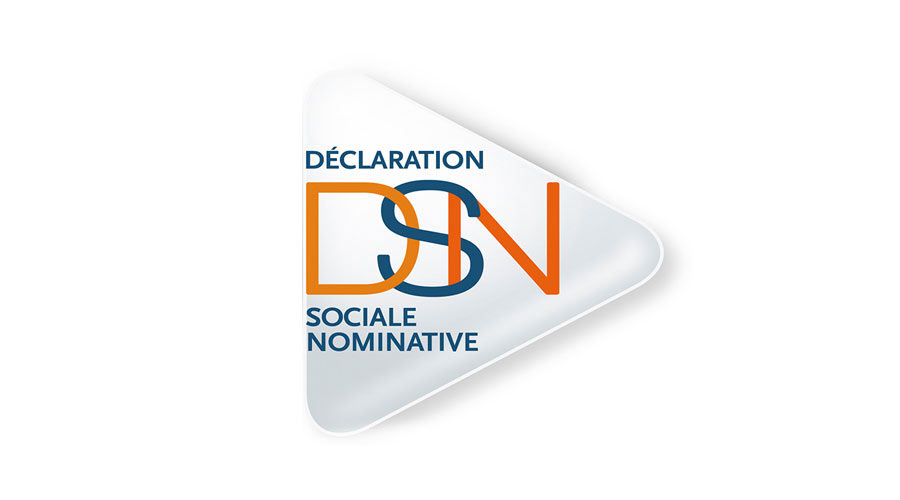 logo DSN