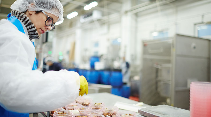 Chaîne de production agroalimentaire